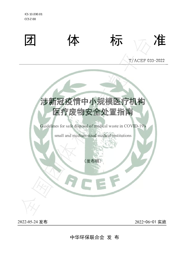 T/ACEF 033-2022 标准预览