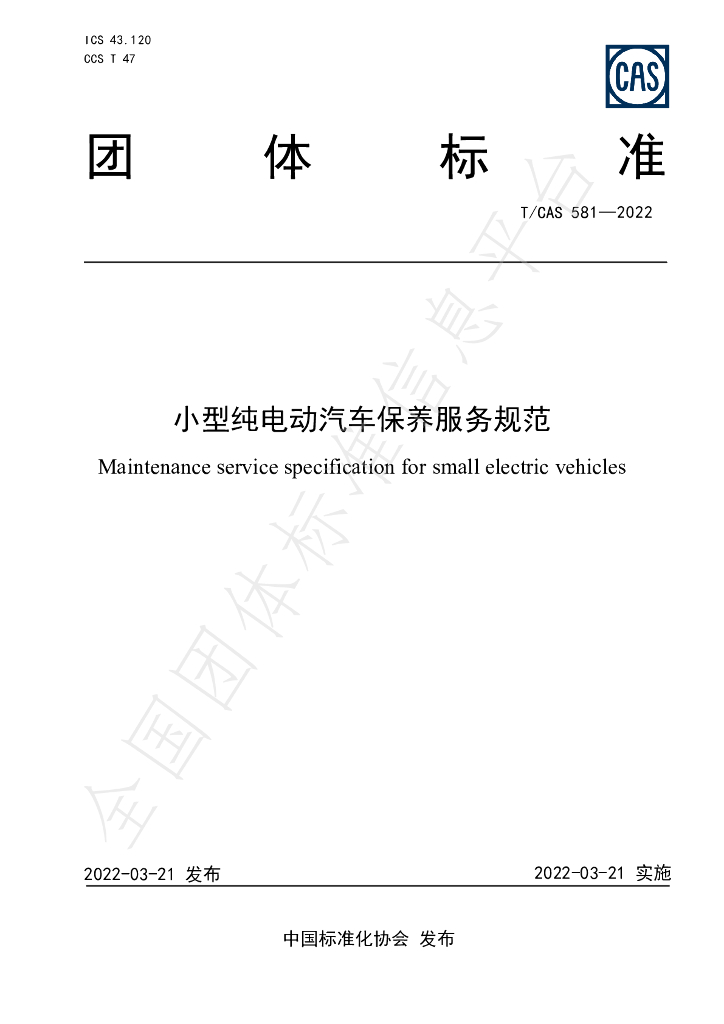 T/CAS 581-2022 标准预览