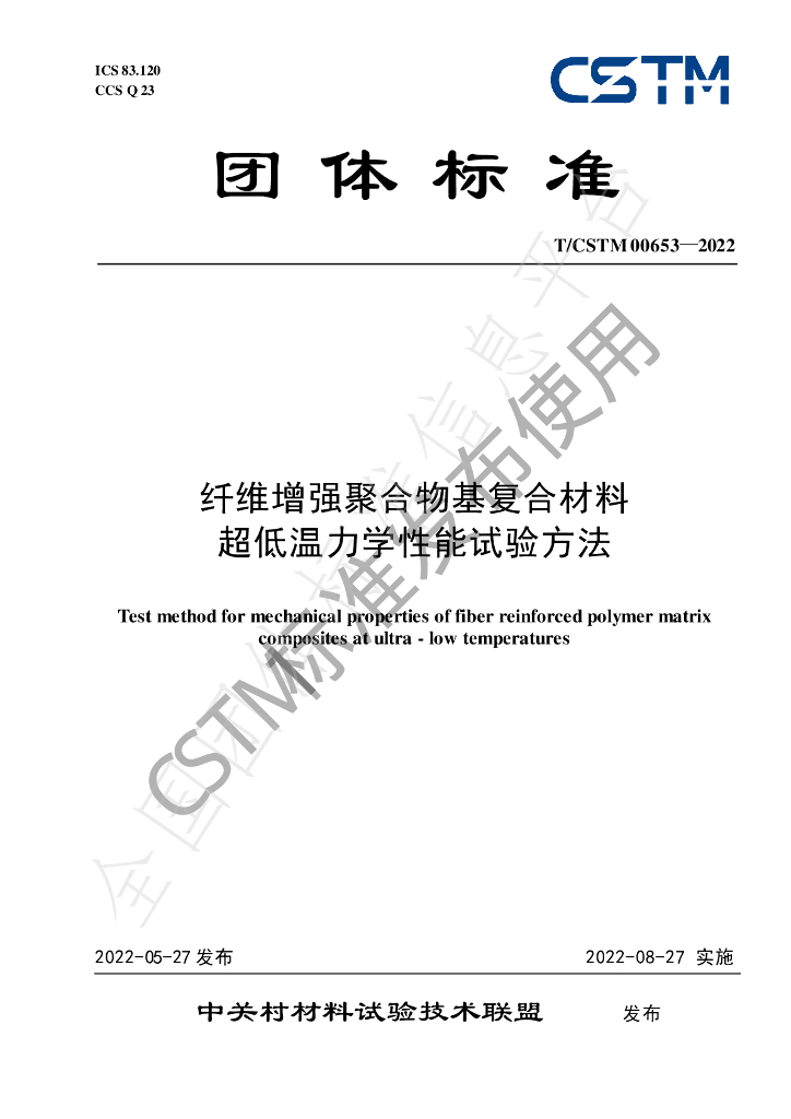 T/CSTM 00653-2022 标准预览