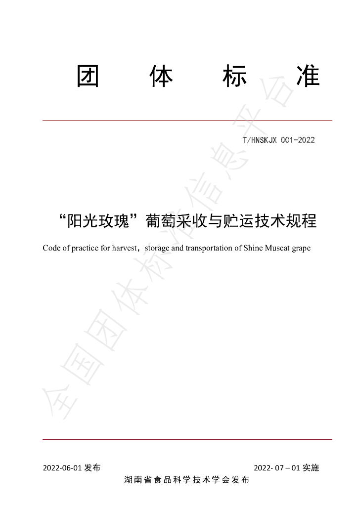 T/HNSKJX 001-2022 标准预览