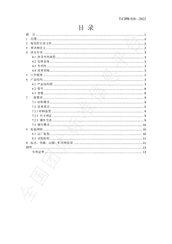 T/CIPR 028-2022 标准预览