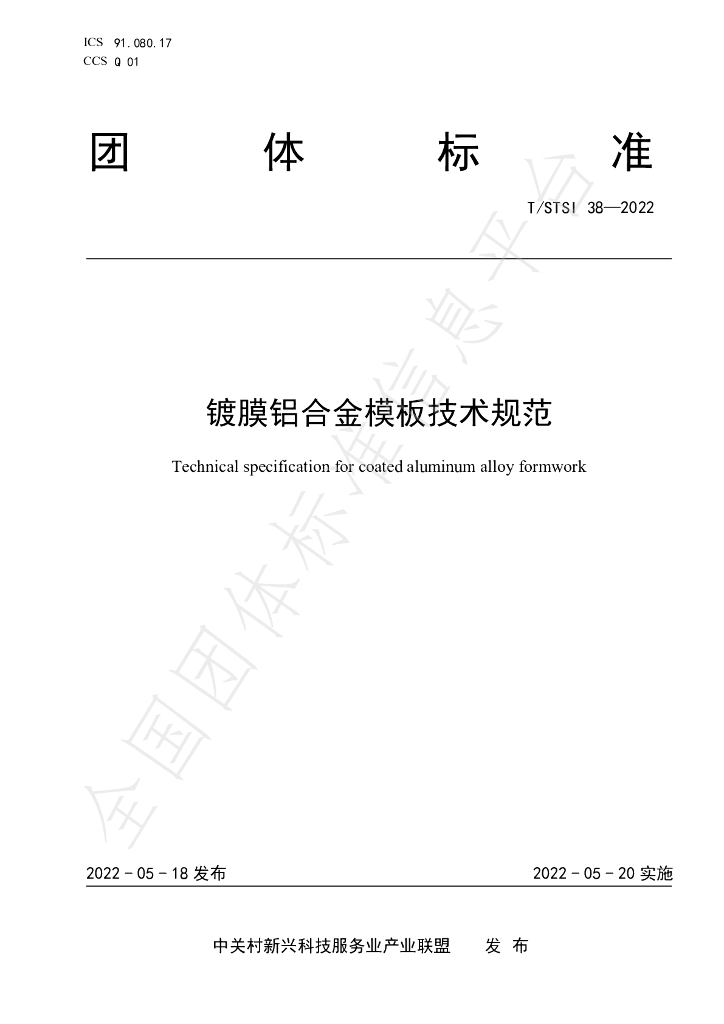 T/STSI 38-2022 标准预览