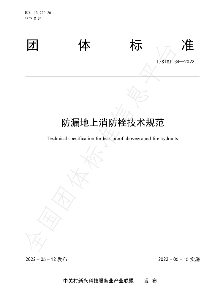T/STSI 34-2022 标准预览