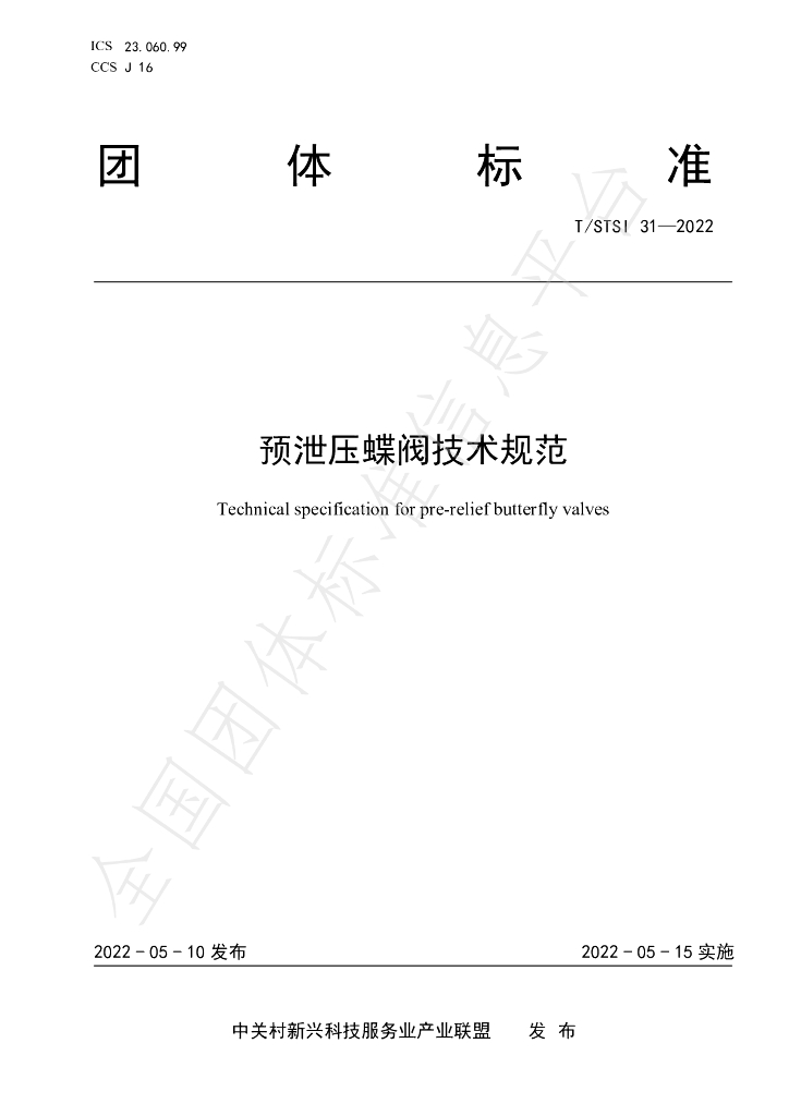 T/STSI 31-2022 标准预览