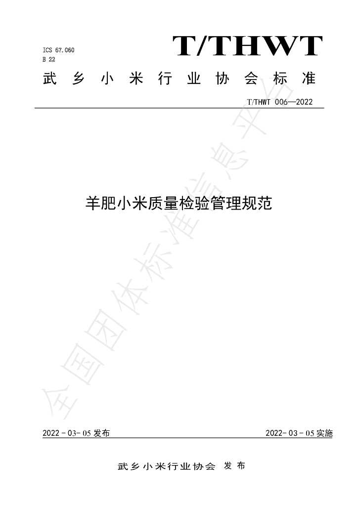 T/THWT 006-2022 标准预览