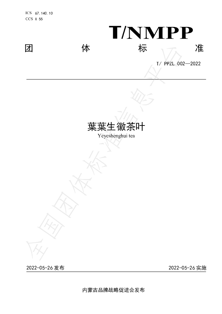T/PPZL 002-2022 标准预览