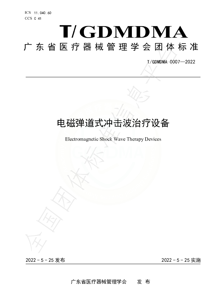 T/GDMDMA 0007-2022 标准预览