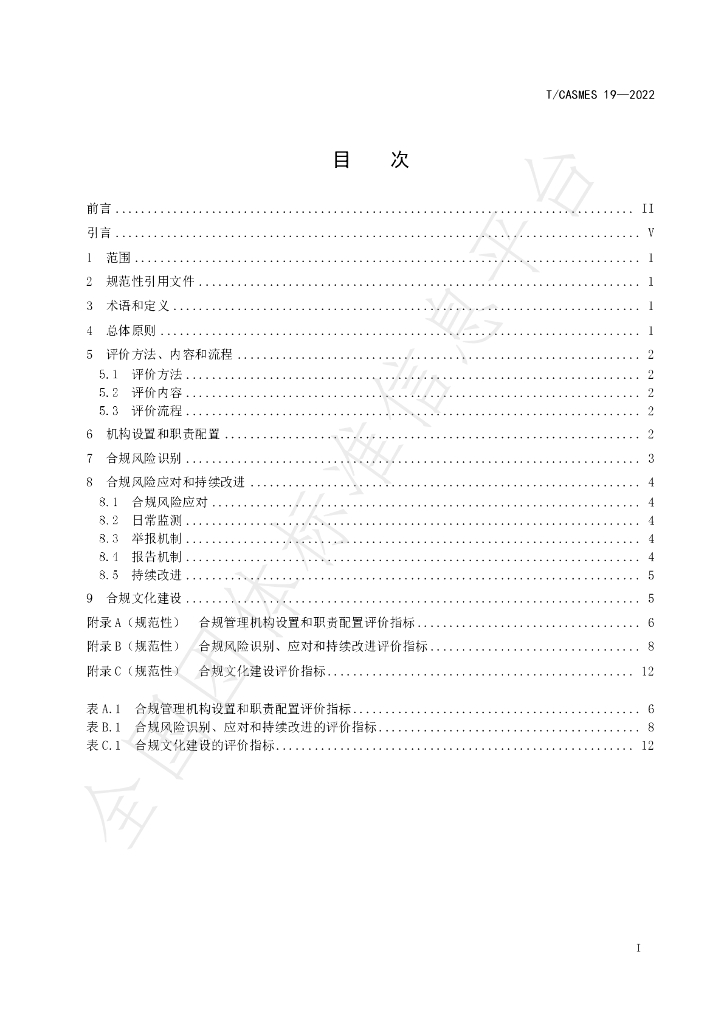 T/CASMES 19-2022 标准预览