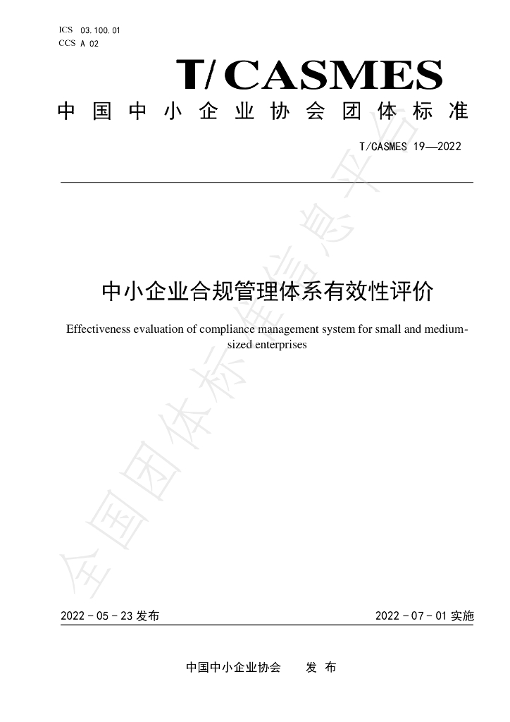 T/CASMES 19-2022 标准预览