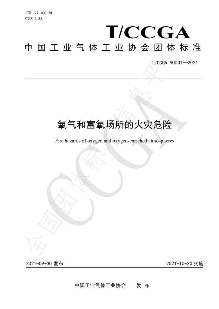 T/CCGA 90001-2021 标准预览