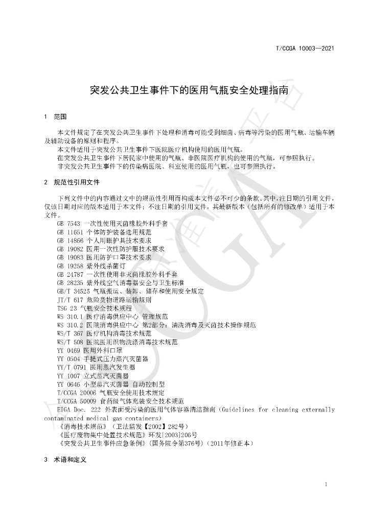 T/CCGA 10003-2021 标准预览