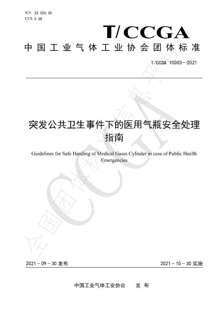 T/CCGA 10003-2021 标准预览