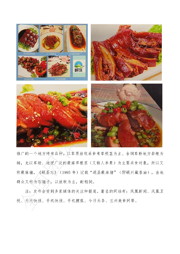 T/GSLCA 1101-2020 标准预览