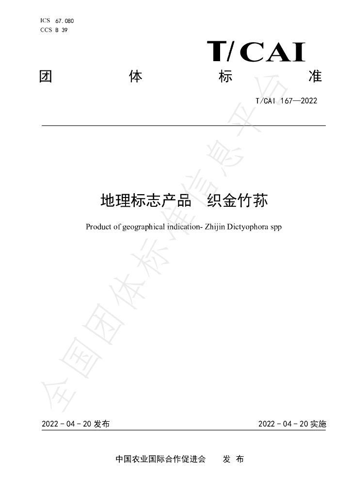 T/CAI 167-2022 标准预览