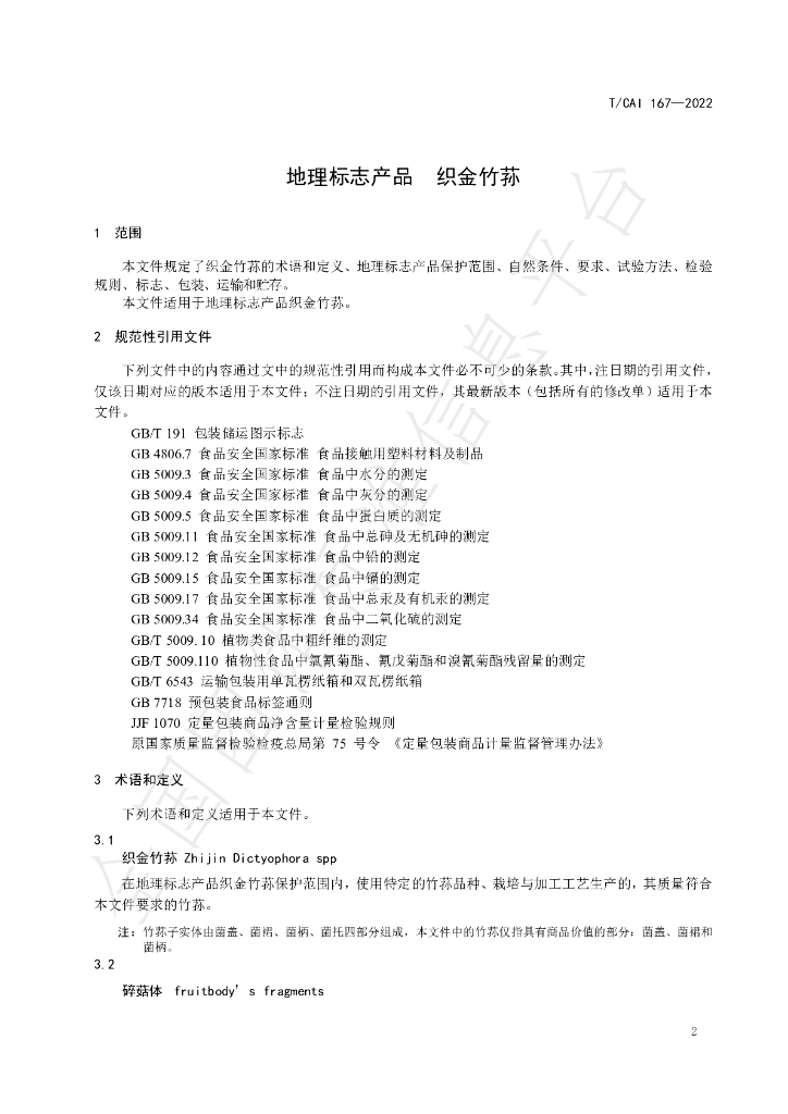 T/CAI 167-2022 标准预览
