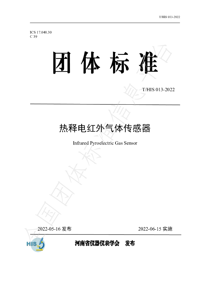 T/HIS 013-2022 标准预览