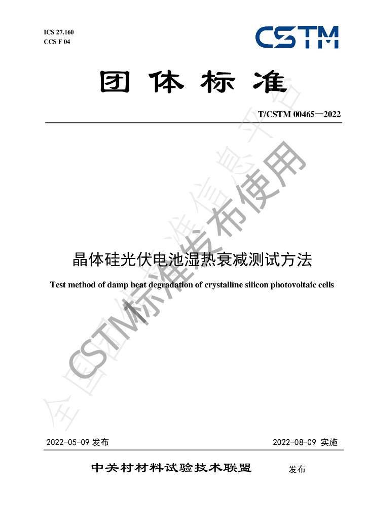 T/CSTM 00465-2022 标准预览