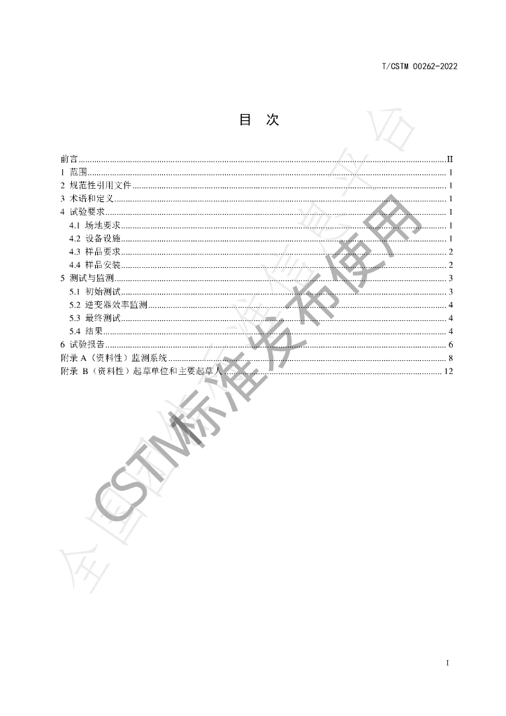 T/CSTM 00262-2022 标准预览