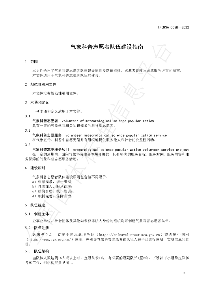 T/CMSA 0028-2022 标准预览