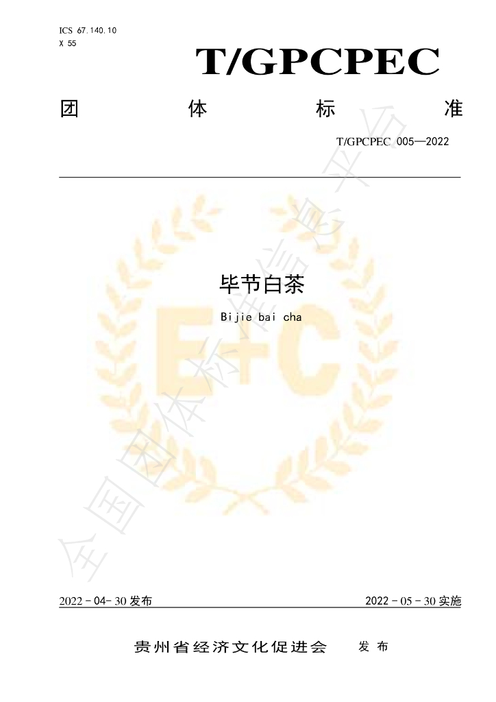 T/GPCPEC 005-2022 标准预览