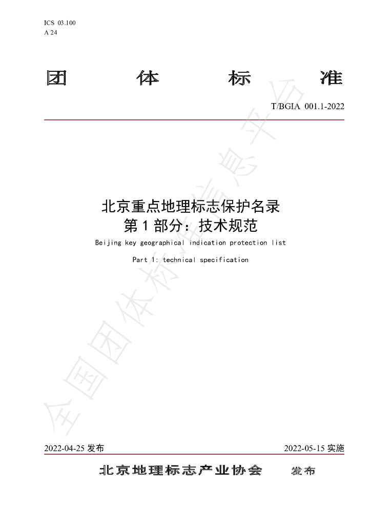 T/BGIA 001-2022 标准预览