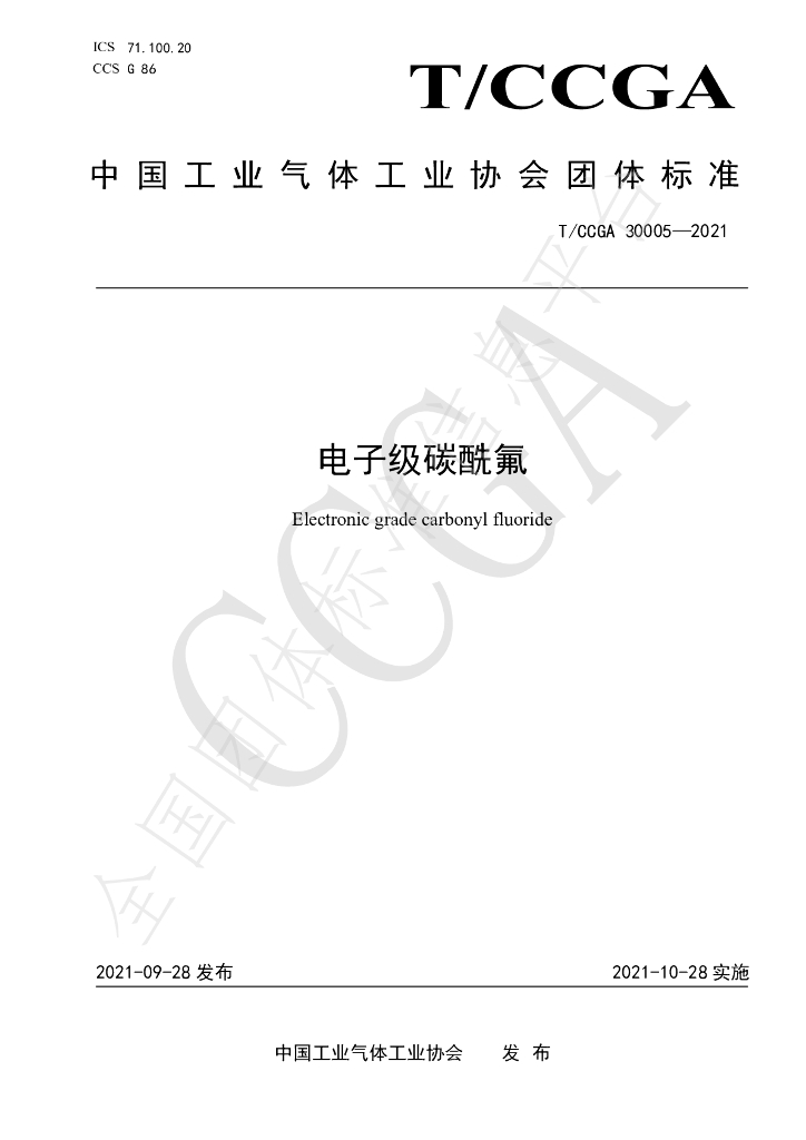 T/CCGA 30005-2021 标准预览