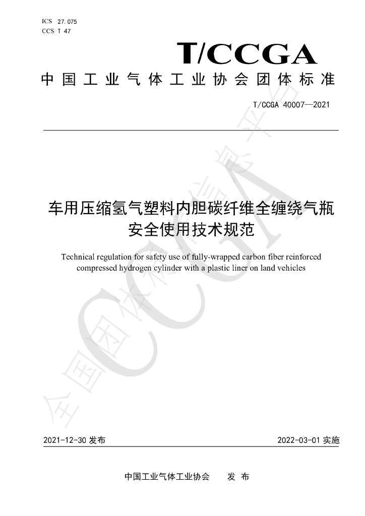 T/CCGA 40007-2021 标准预览