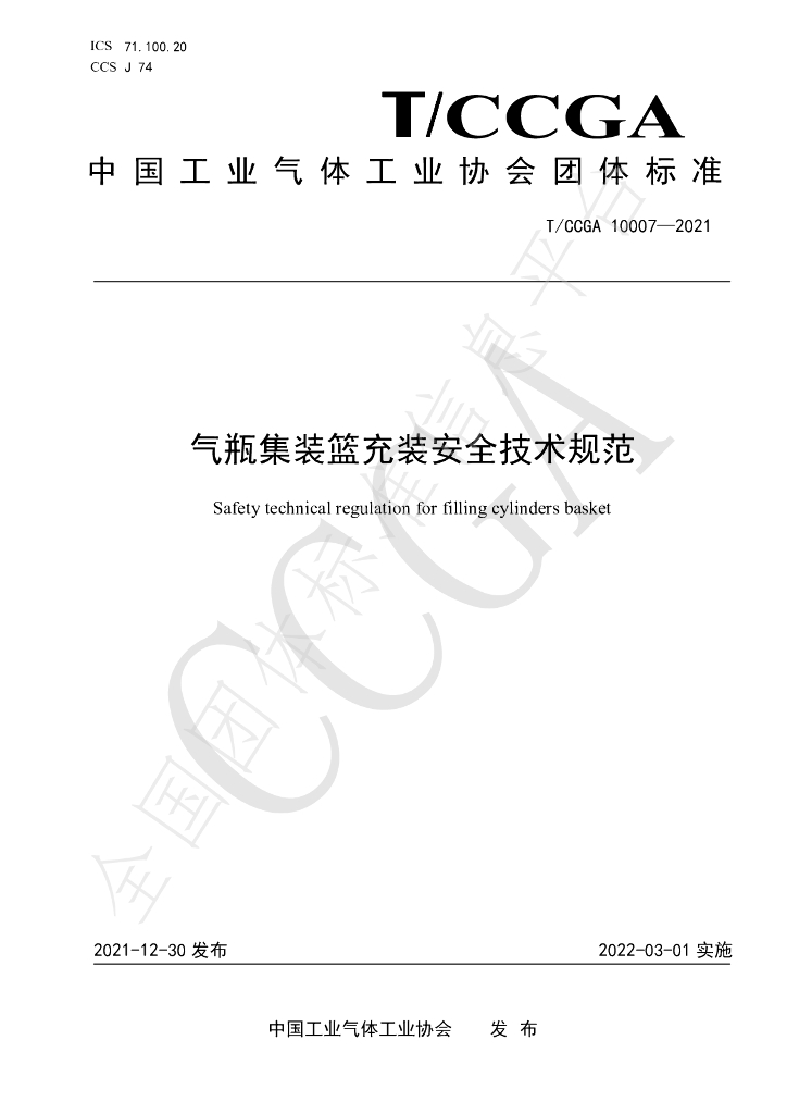 T/CCGA 10007-2021 标准预览