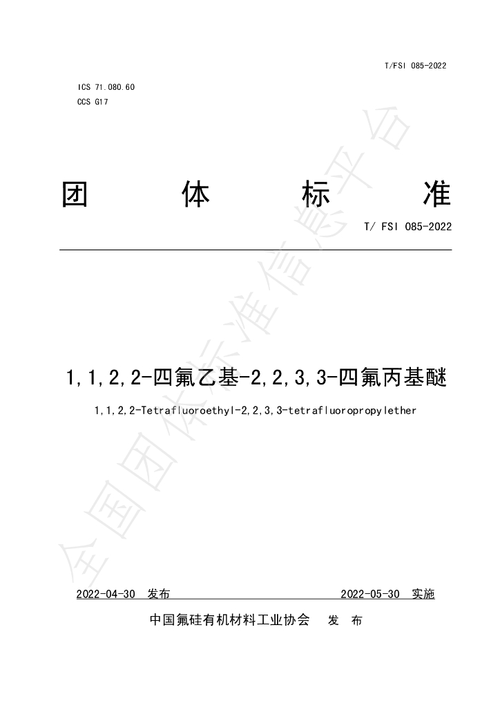 T/FSI 085-2022 标准预览