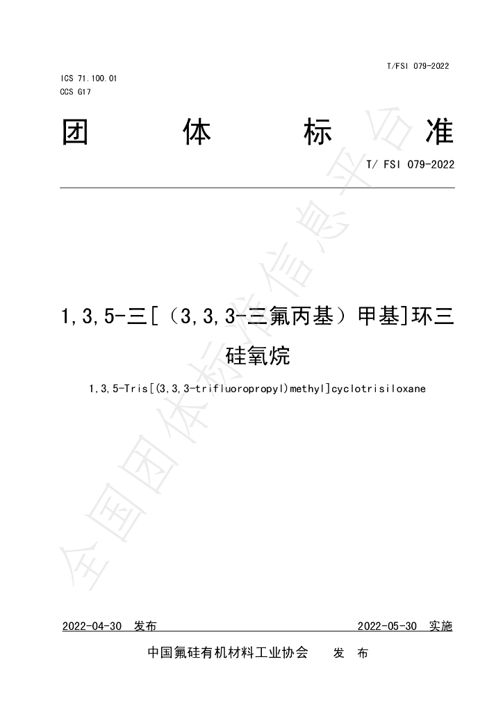 T/FSI 079-2022 标准预览
