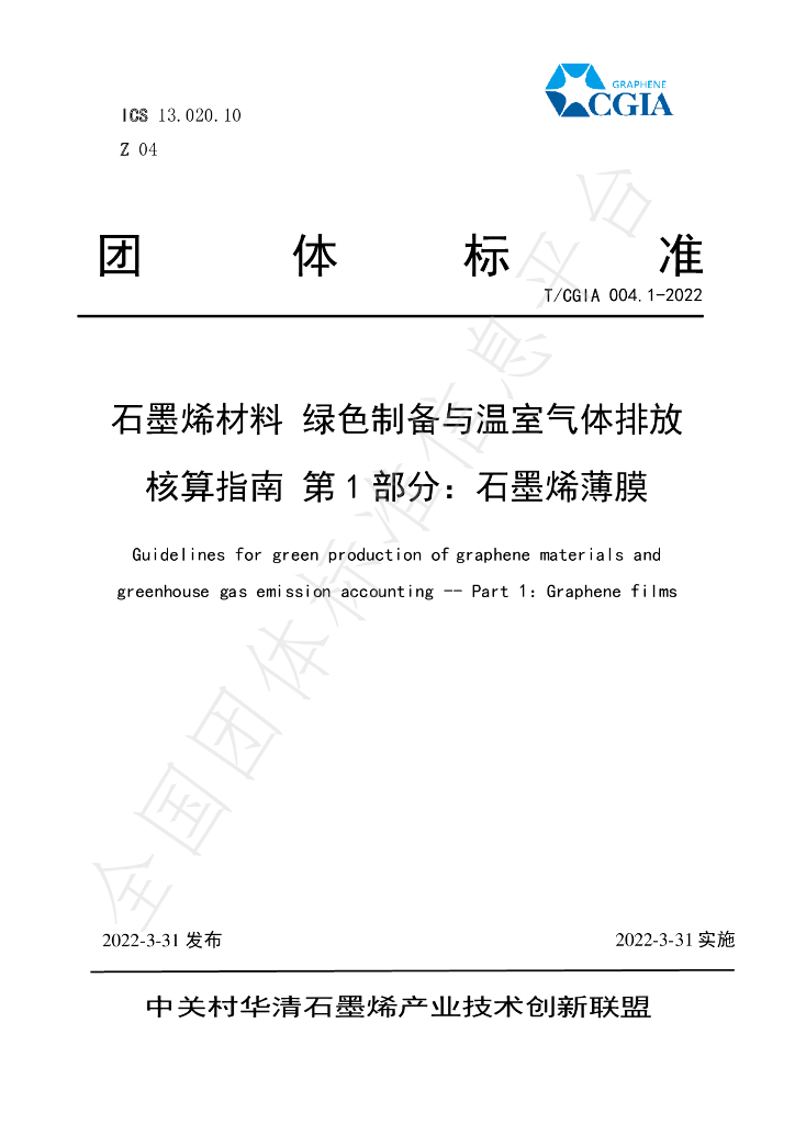 T/CGIA 004.1-2022 标准预览