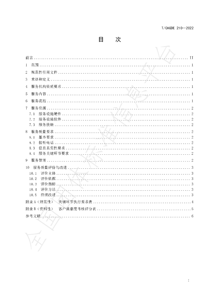 T/CAGDE 211-2022 标准预览