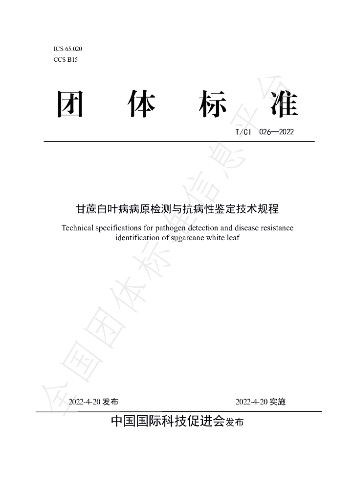 T/CI 026-2022 标准预览