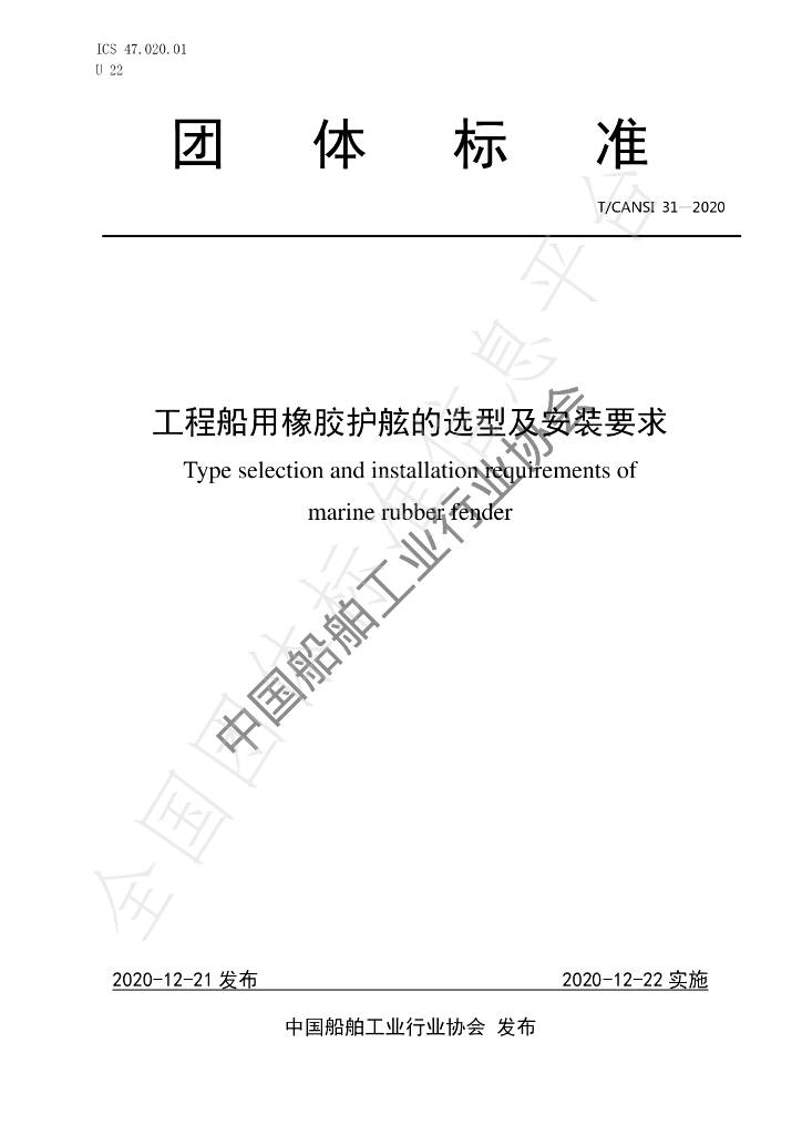 T/CANSI 31-2020 标准预览