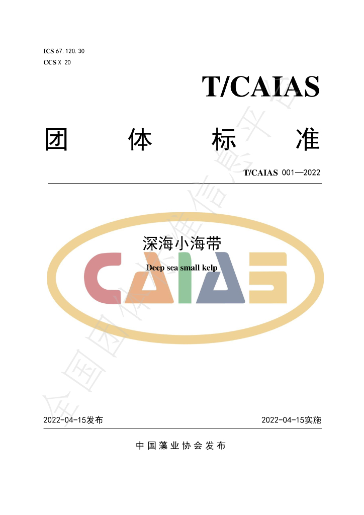 T/CAIAS 001-2022 标准预览