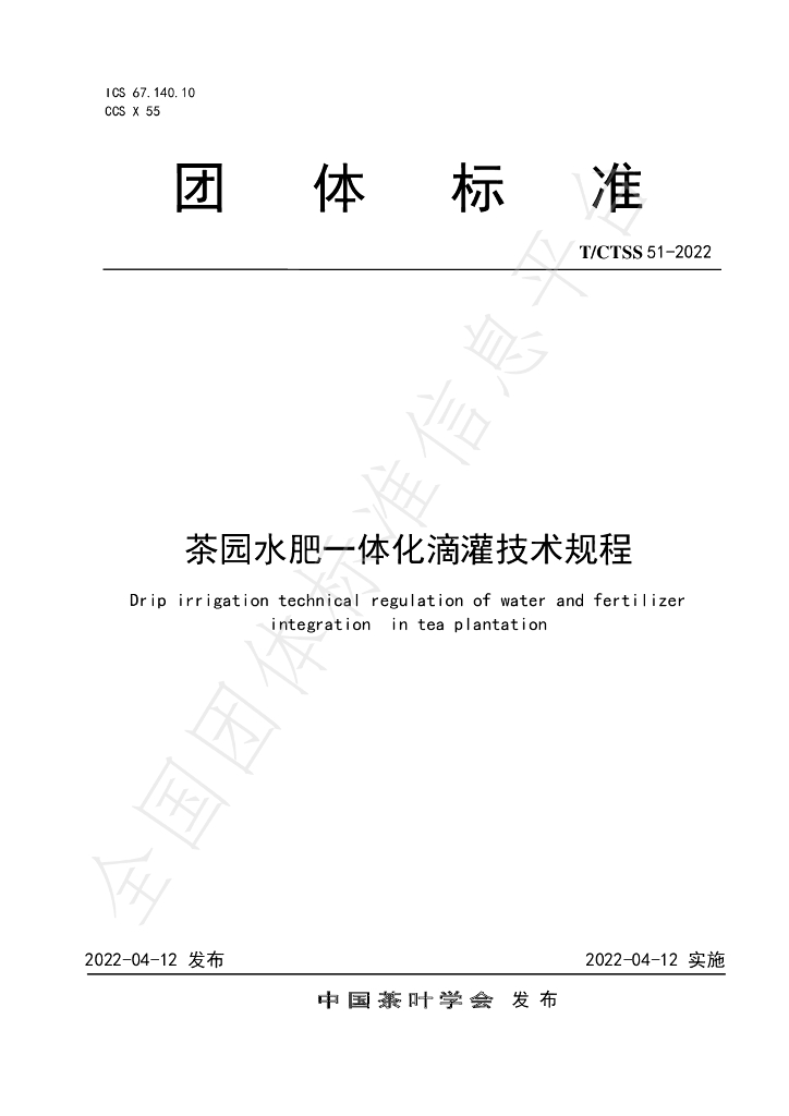 T/CTSS 51-22 标准预览