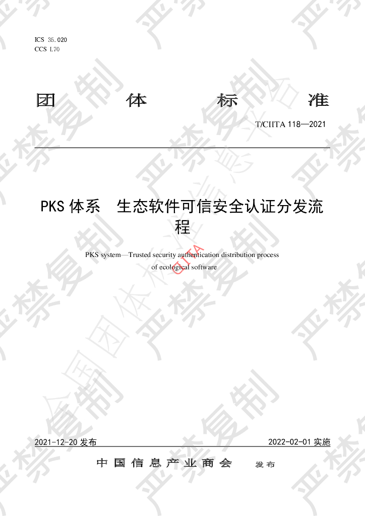 T/CIITA 118-2021 标准预览