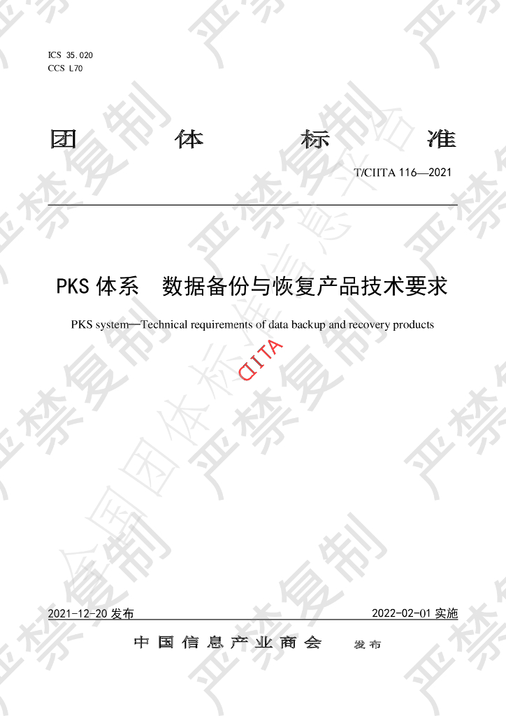 T/CIITA 116-2021 标准预览