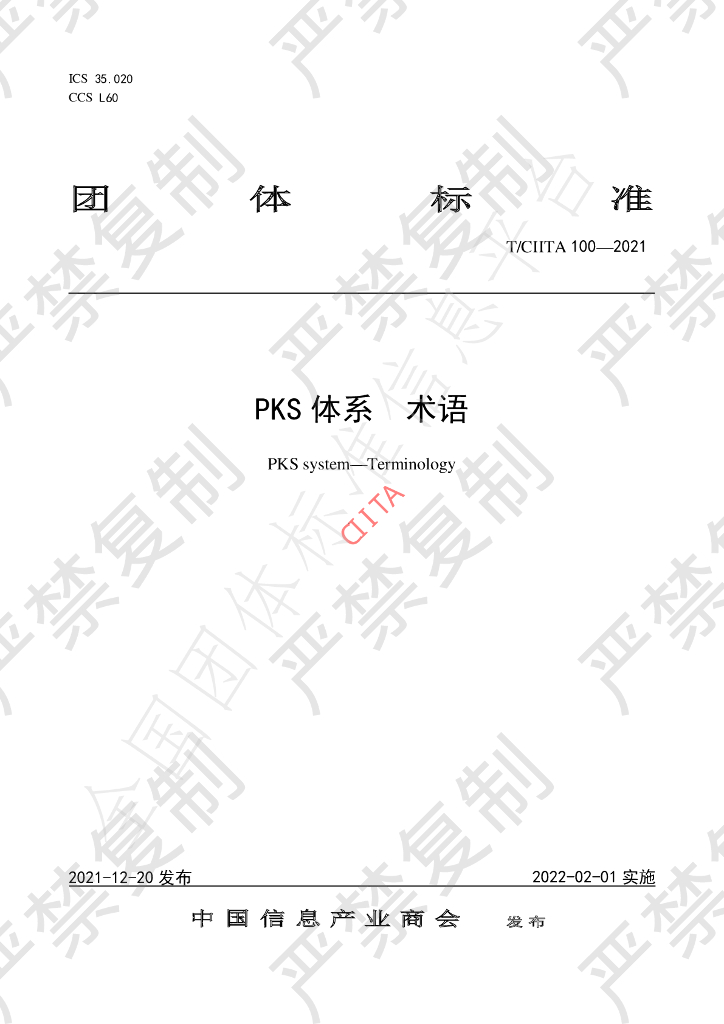 T/CIITA 100-2021 标准预览