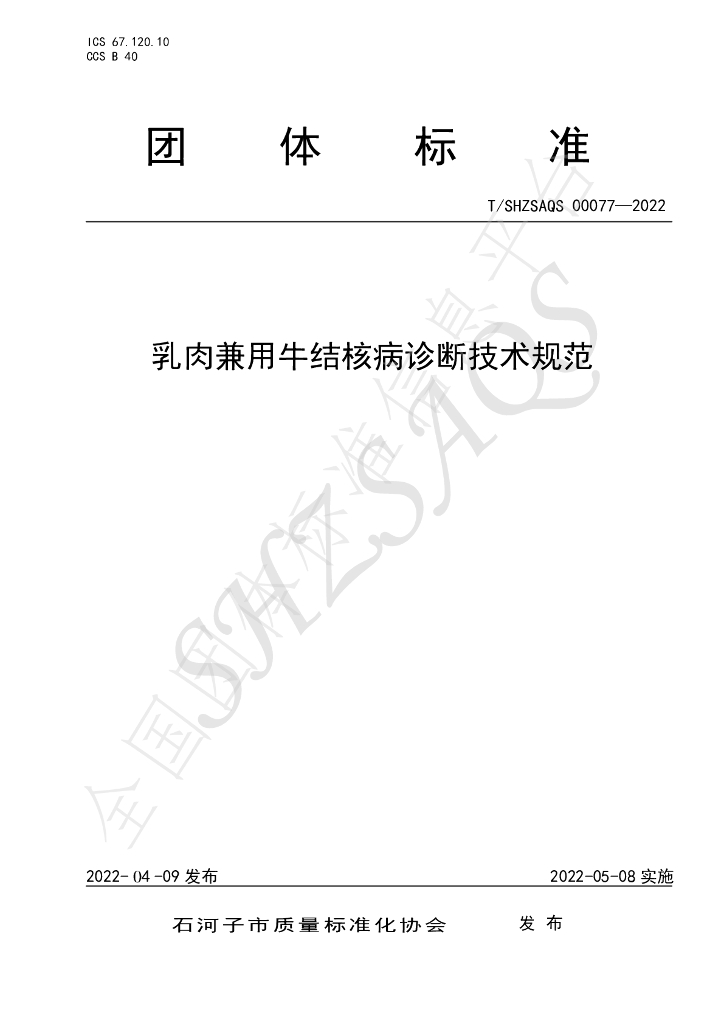 T/SHZSAQS 00077-2022 标准预览