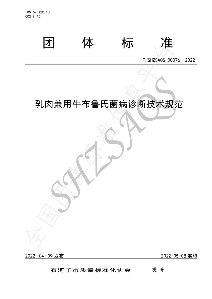 T/SHZSAQS 00076-2022 标准预览