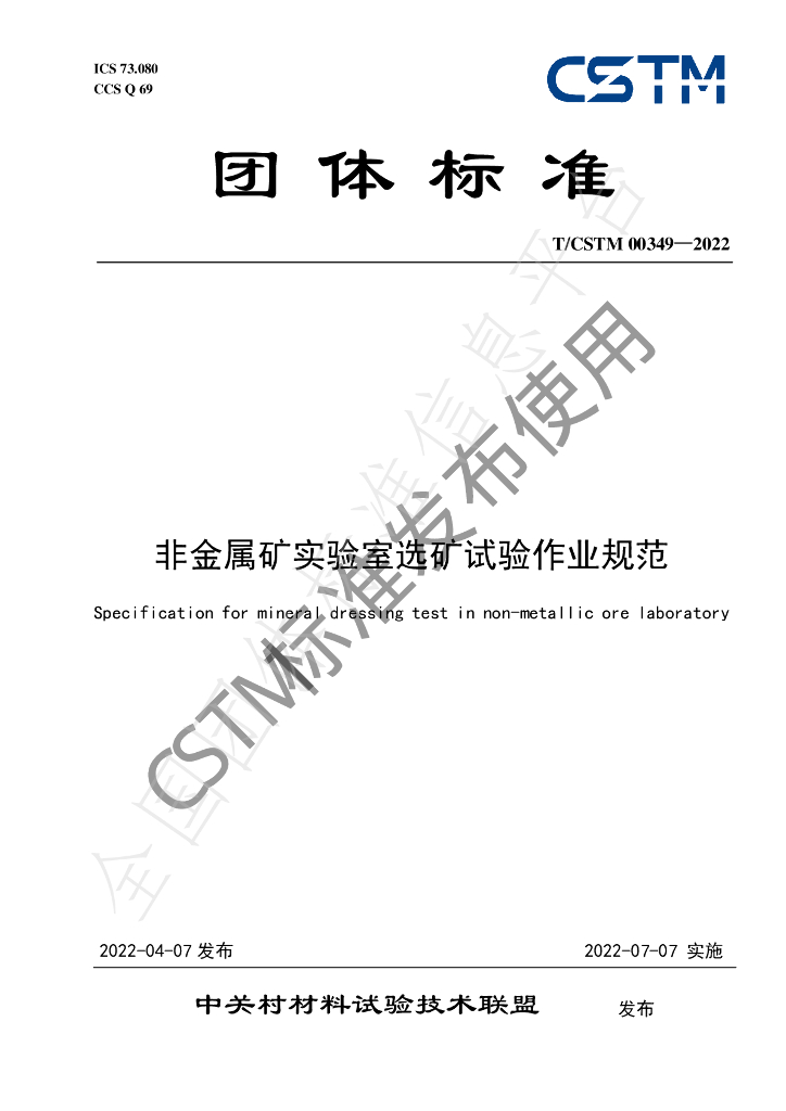 T/CSTM 00349-2022 标准预览