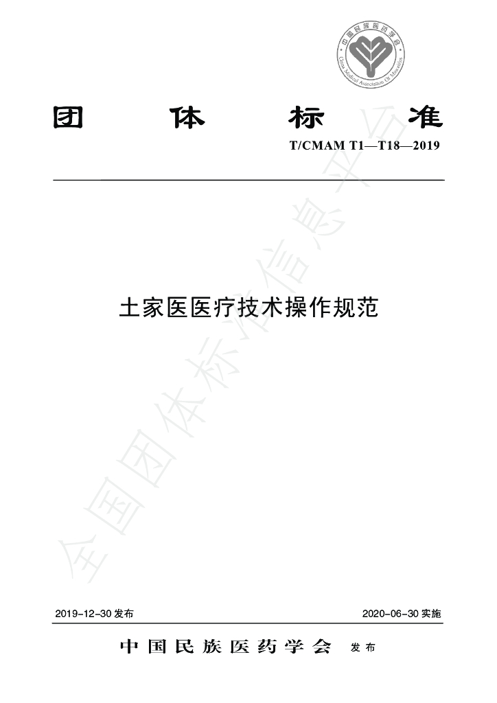 T/CMAM T1-T18-2019 标准预览