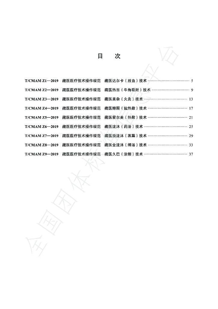 T/CMAM Z1-Z9-2019 标准预览