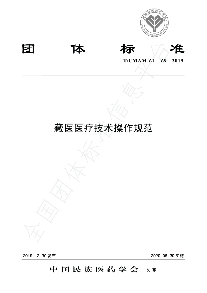 T/CMAM Z1-Z9-2019 标准预览