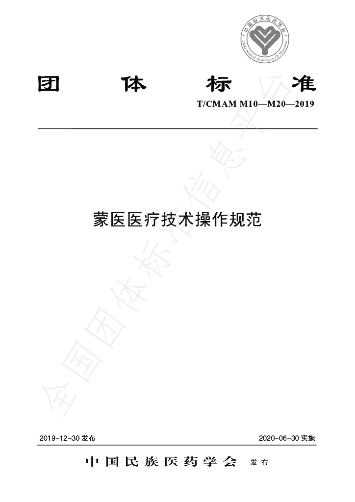 T/CMAM M10-20-2019 标准预览