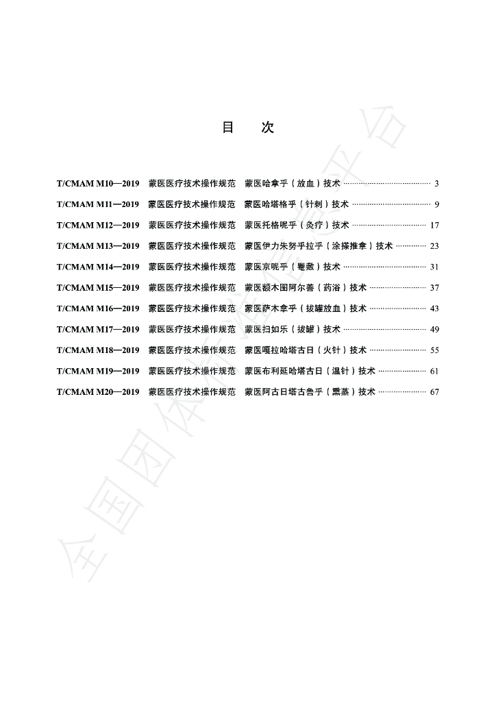 T/CMAM M10-20-2019 标准预览