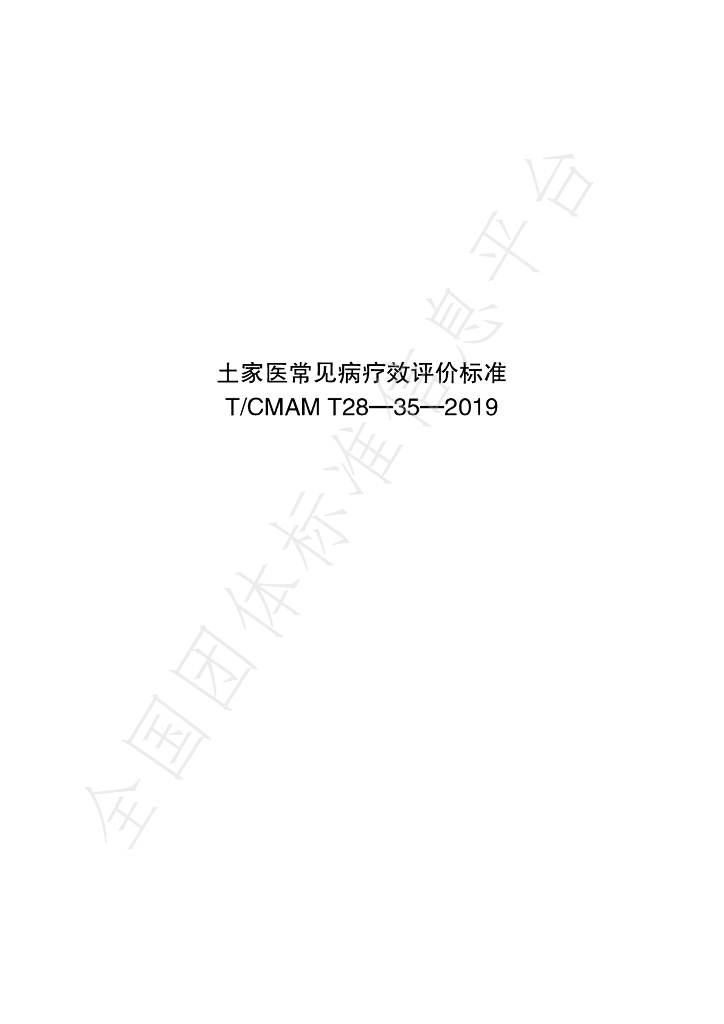 T/CMAM T28-35-2019 标准预览