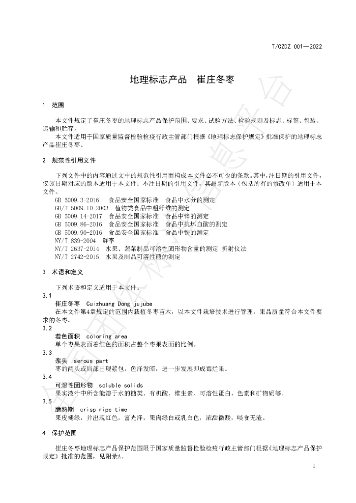 T/CZDZ 001-2022 标准预览