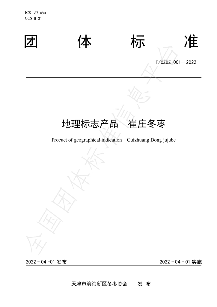 T/CZDZ 001-2022 标准预览